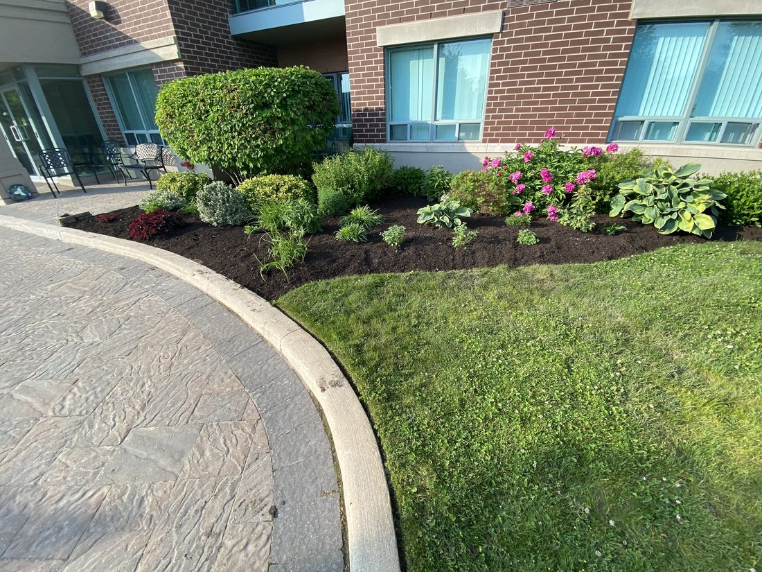 Condominium Grounds