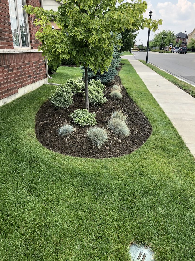Garden Bed Maintenance