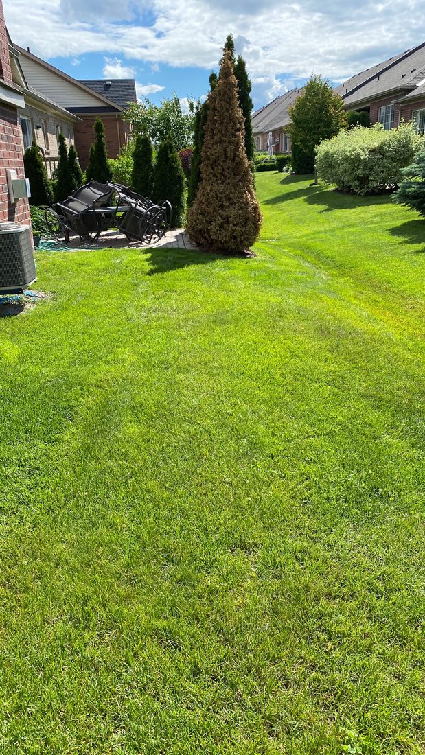 Lawn Maintenance