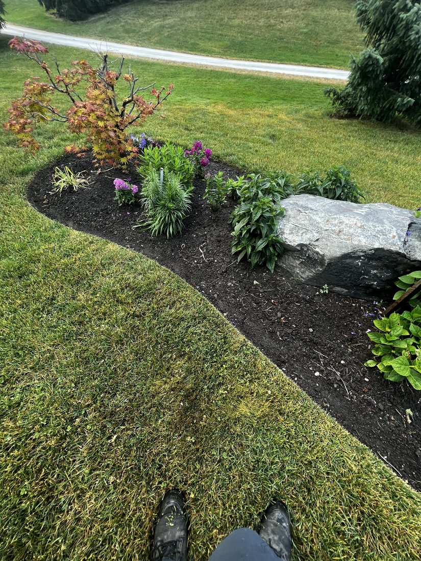 Garden Beds
